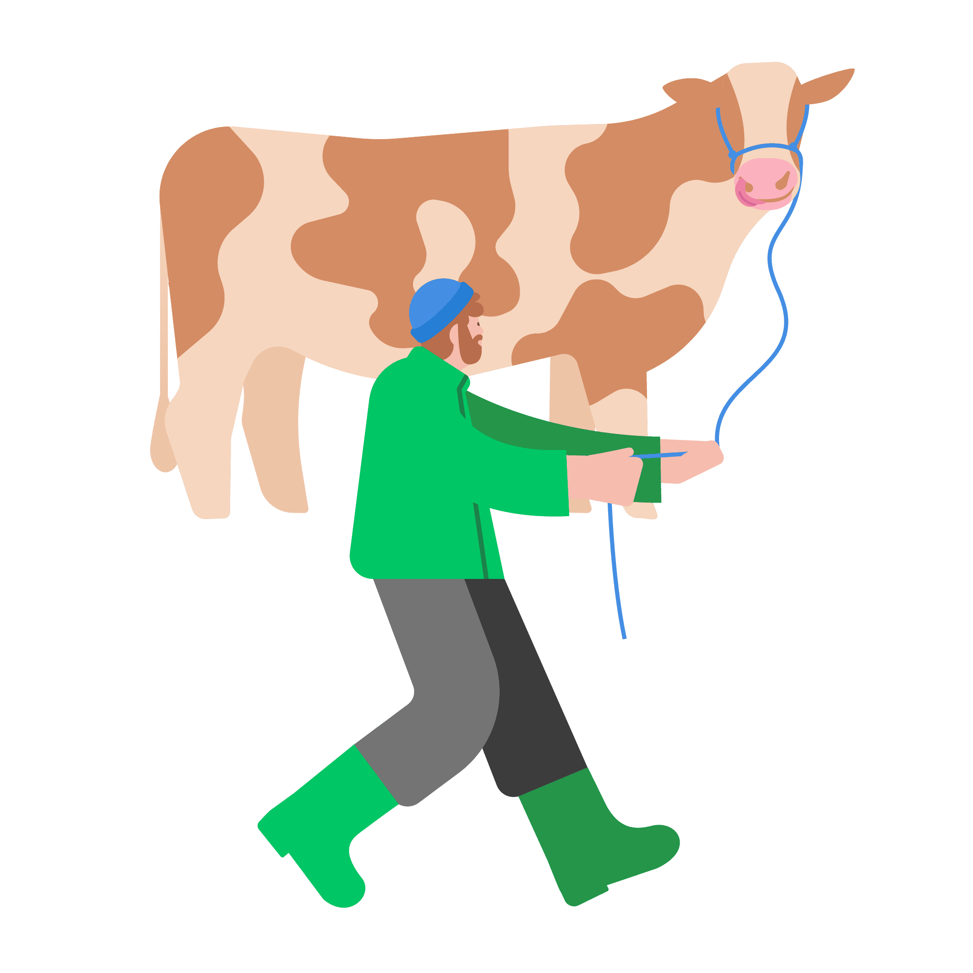 Illustration einer Person, die eine Kuh an einem Führstrick begleitet. Die Darstellung symbolisiert die Arbeit in der Landwirtschaft, den verantwortungsvollen Umgang mit Nutztieren und die enge Verbindung zwischen Mensch und Tier.