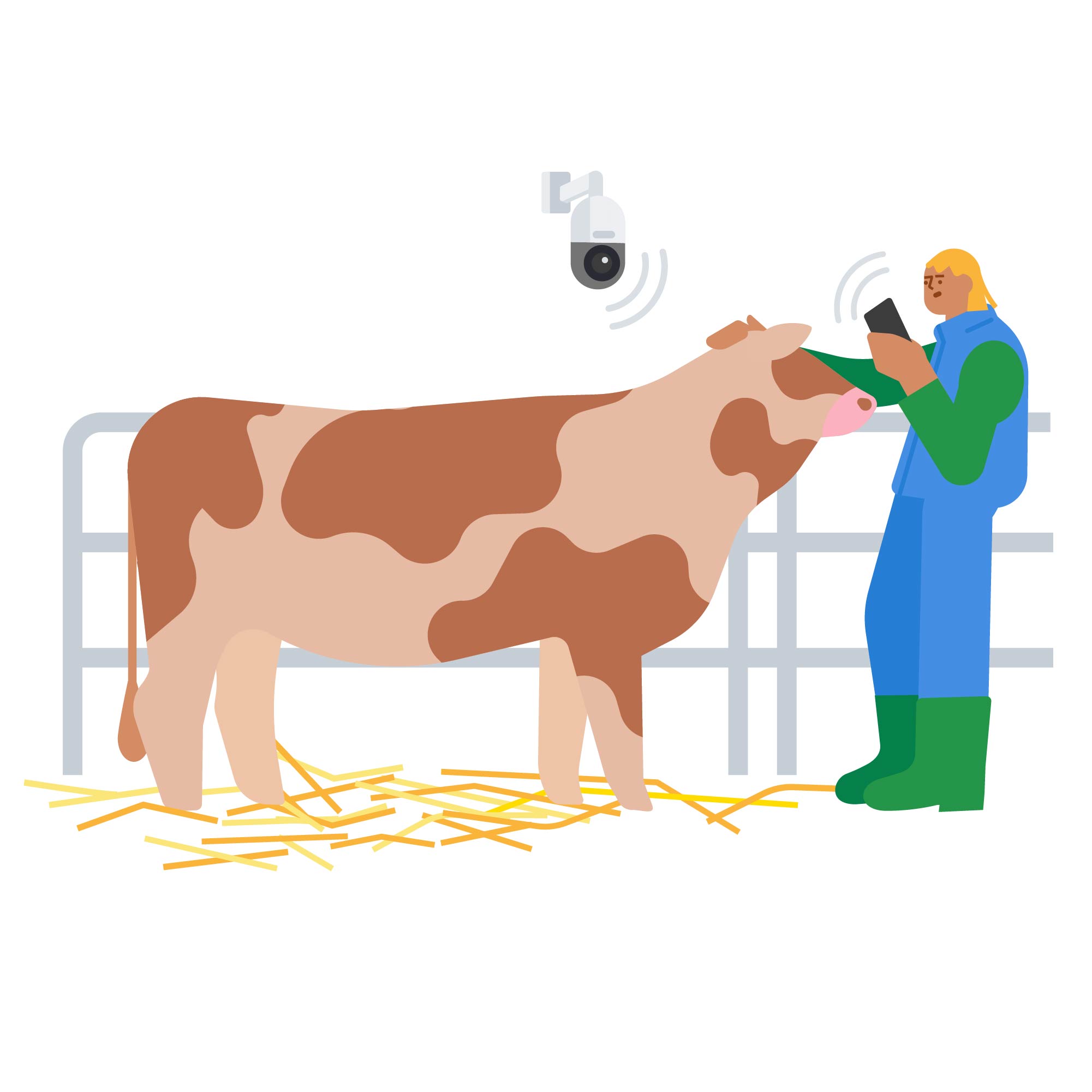 Illustration einer braun-weißen Kuh im Stall, die von einer Landwirtin mit Smartphone und einer Überwachungskamera beobachtet wird.-vesm